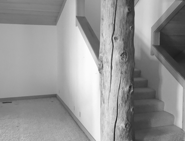 Remodels