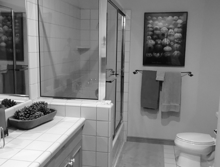 Remodels